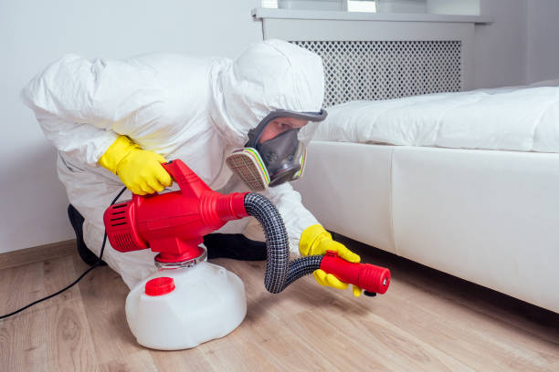 Best Real Estate Pest Inspections  in Tuckerton, NJ